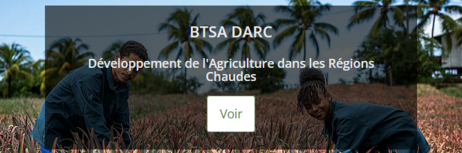 BTSA DARC Guadeloupe