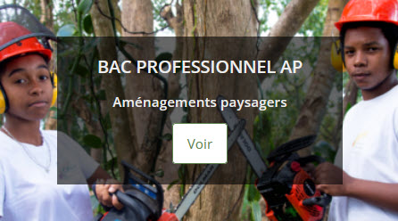 Bac Pro AP