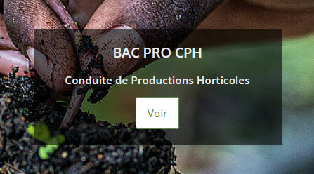 Bac Pro CPH